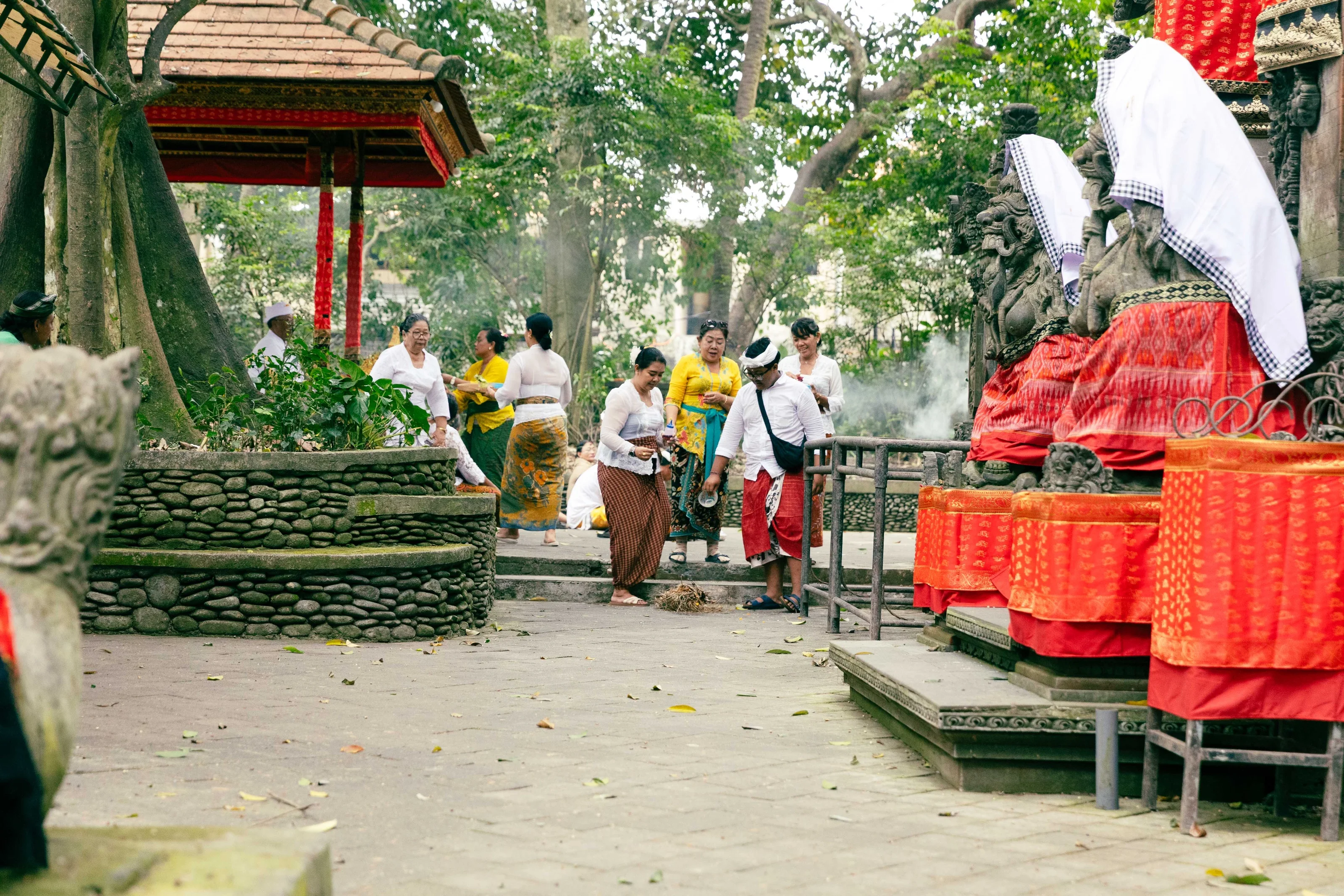 Foto uit Apenstreken, rijstvelden en koninklijk Ubud (Bali 2026)