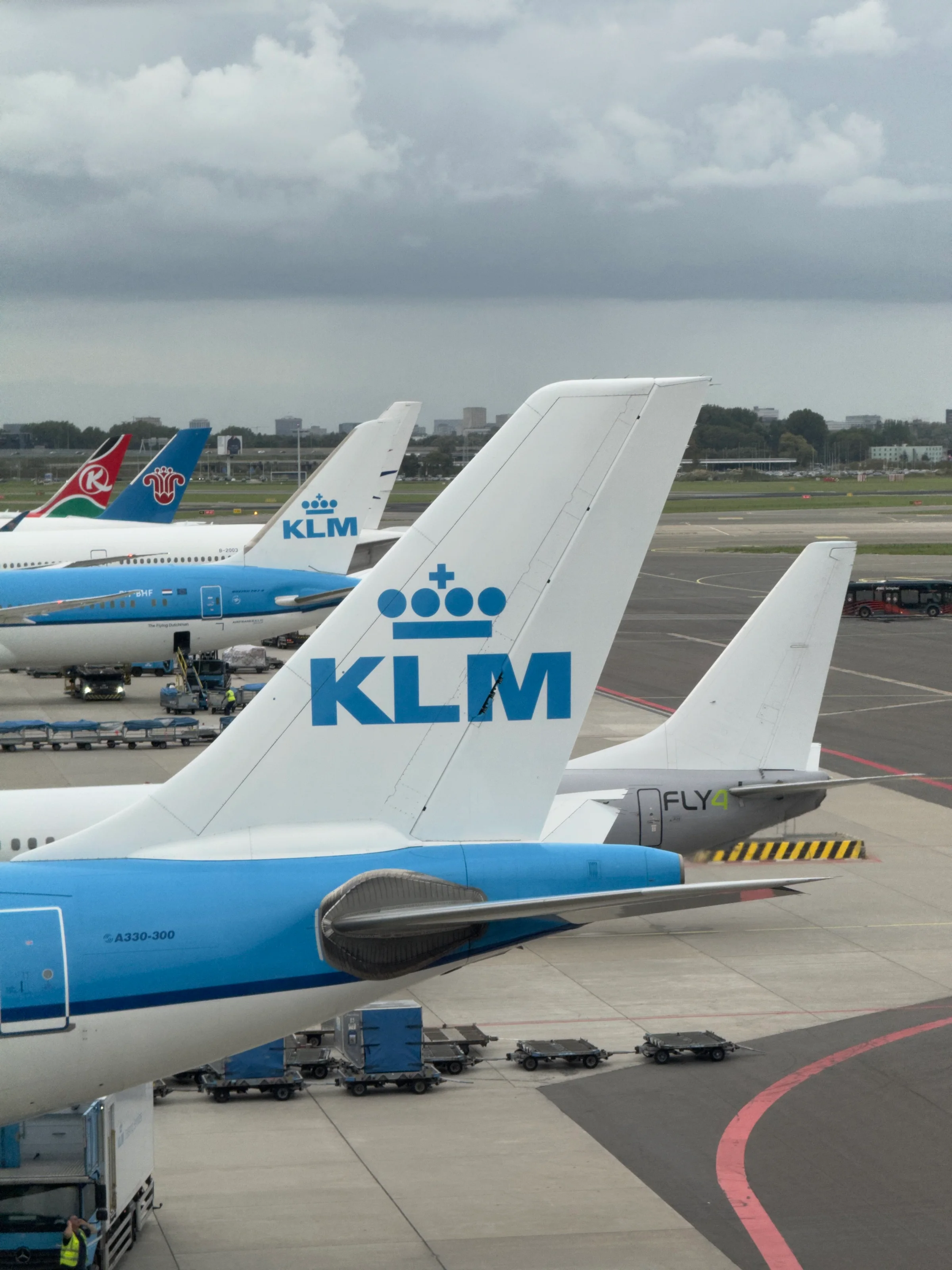 Beeld bij Pittige reis!